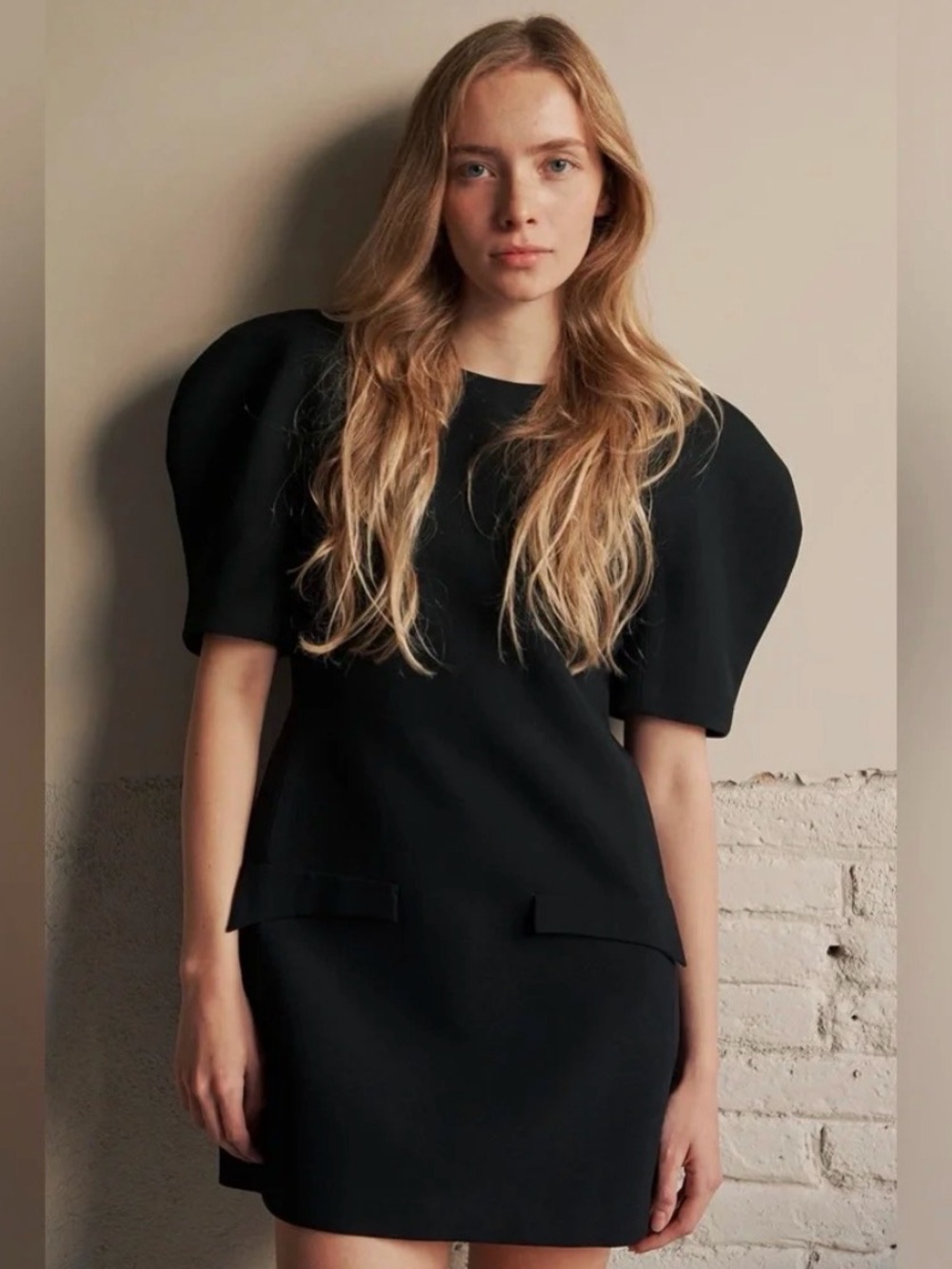 NWT Zara mini dress